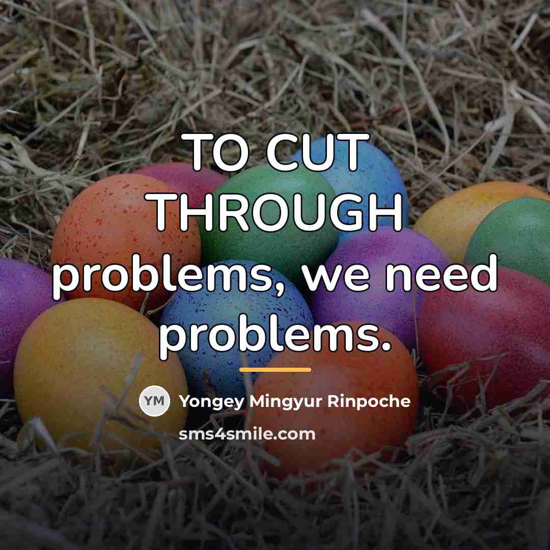 “TO CUT THROUGH problems, we need problems.…” quote by Yongey Mingyur Rinpoche