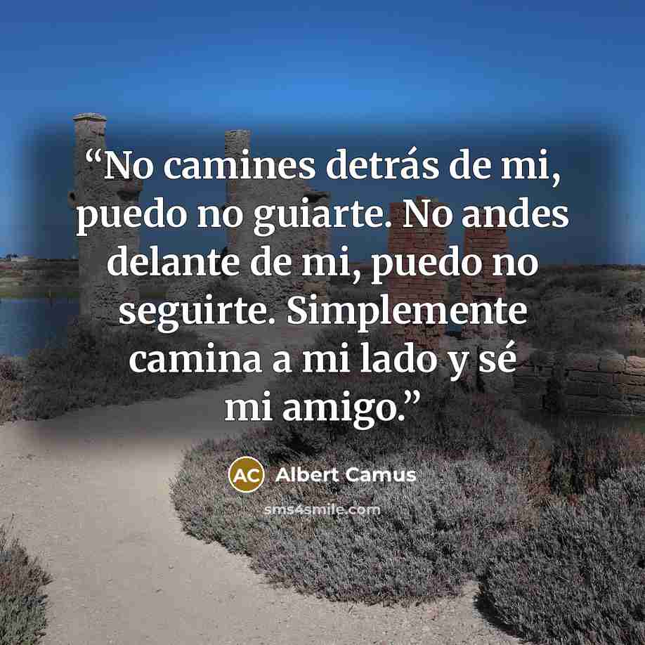 “No camines detrás de mi, puedo no guiarte. No andes delante de mi, puedo no seguirte. Simplemente camina a mi lado y sé mi amigo.” quote by Albert Camus