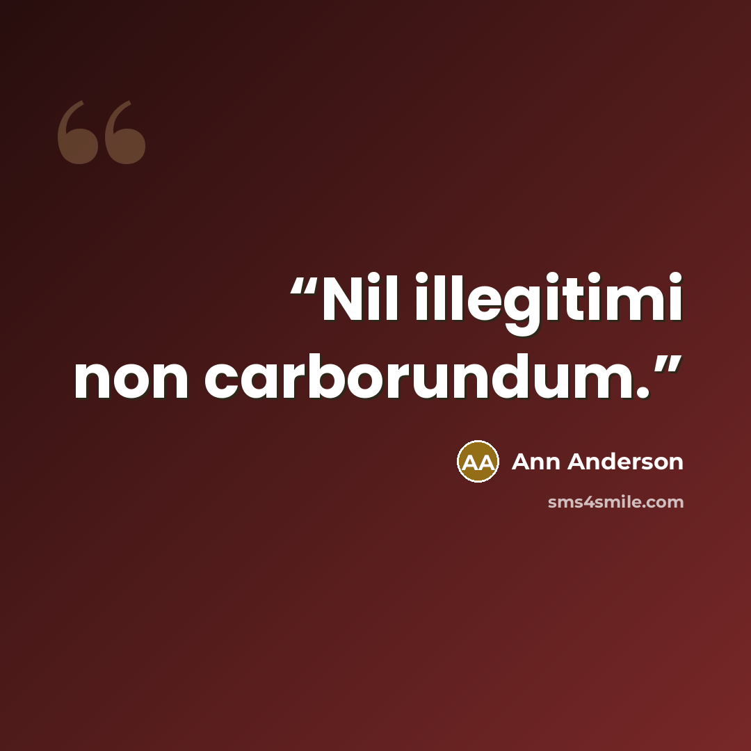 “Nil illegitimi non carborundum.” quote by Ann Anderson