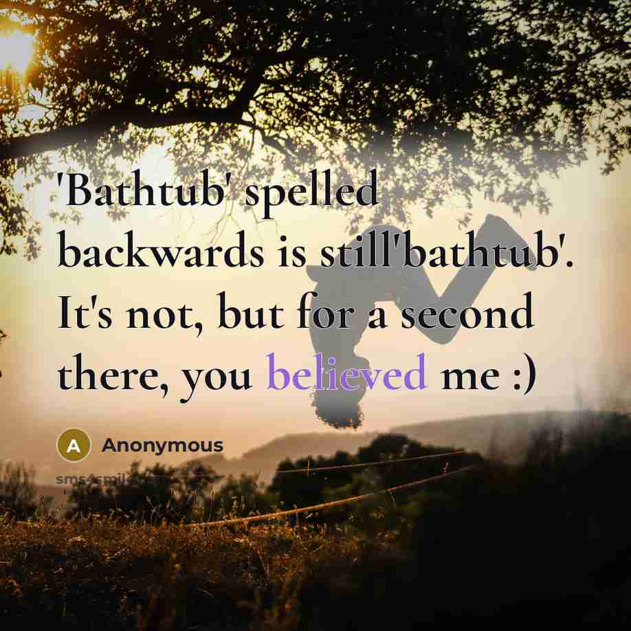 “'Bathtub' spelled backwards is still'bathtub'. It's not, but for a second there, you believed me :)” quote by Anonymous