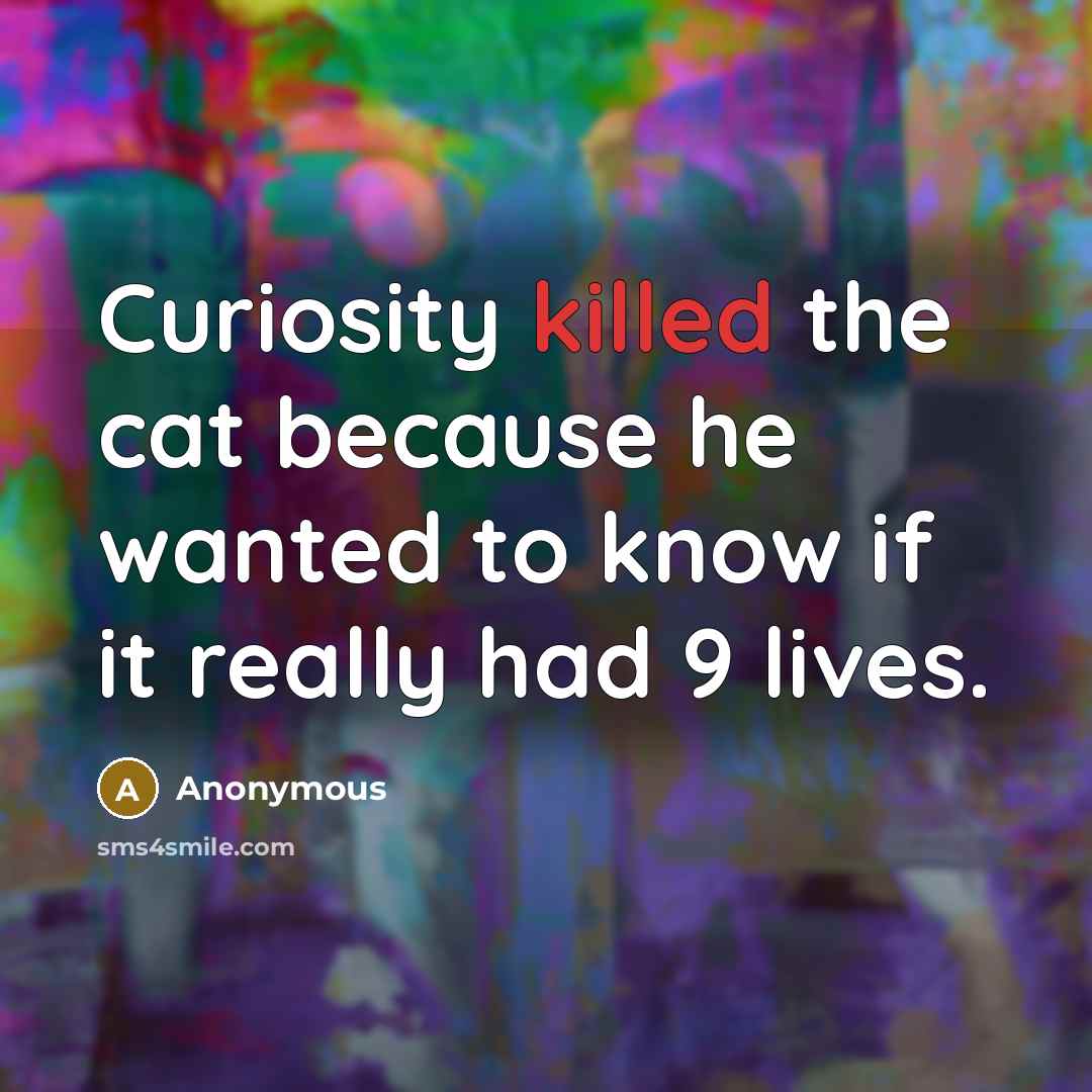 “Curiosity killed the cat because he wanted to know if it really had 9 lives.” quote by Anonymous