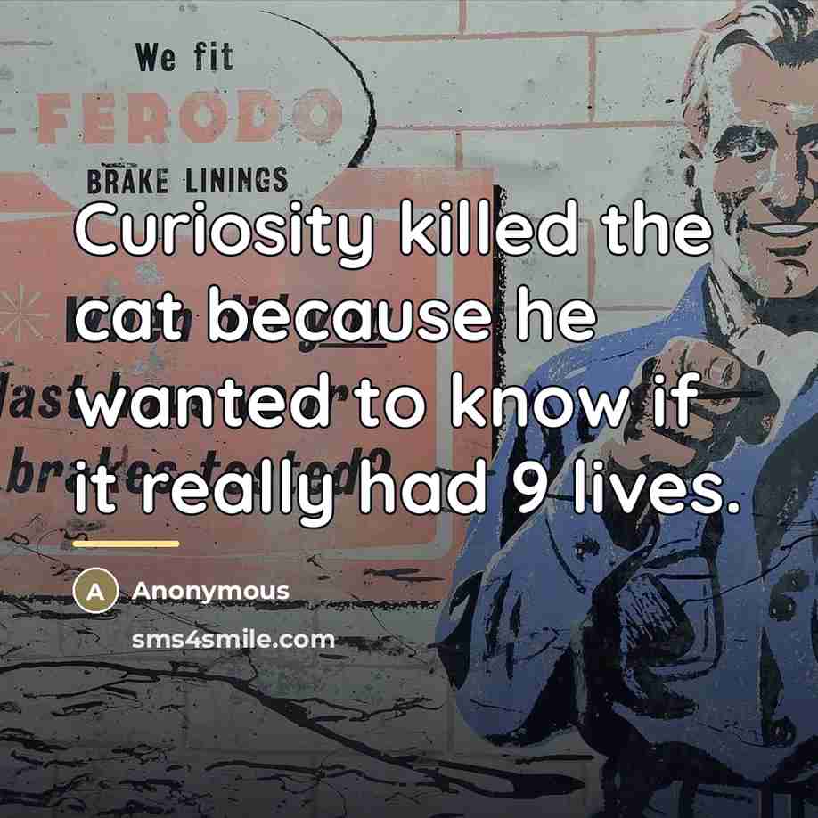 “Curiosity killed the cat because he wanted to know if…” quote by Anonymous