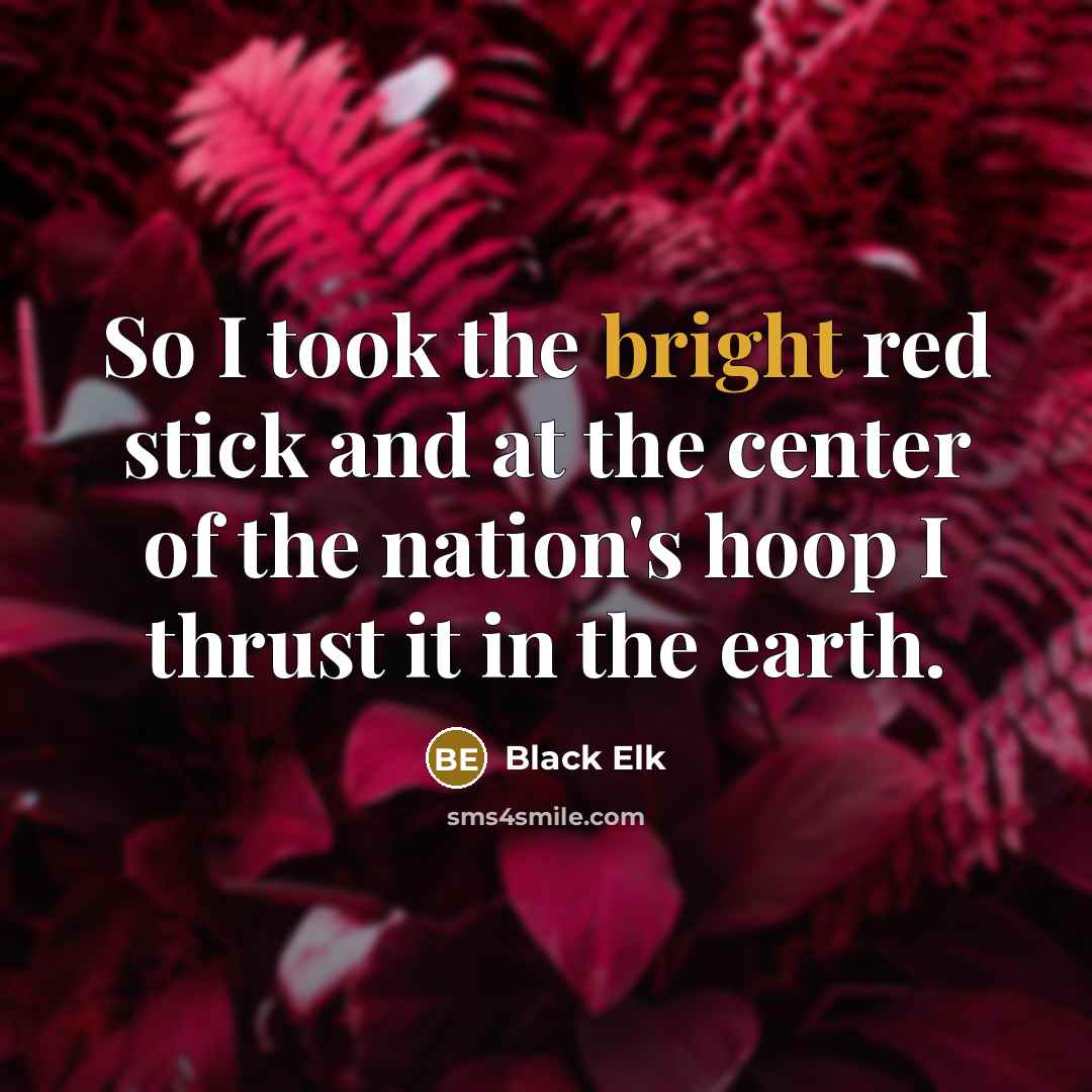 “So I took the bright red stick and at the…” quote by Black Elk