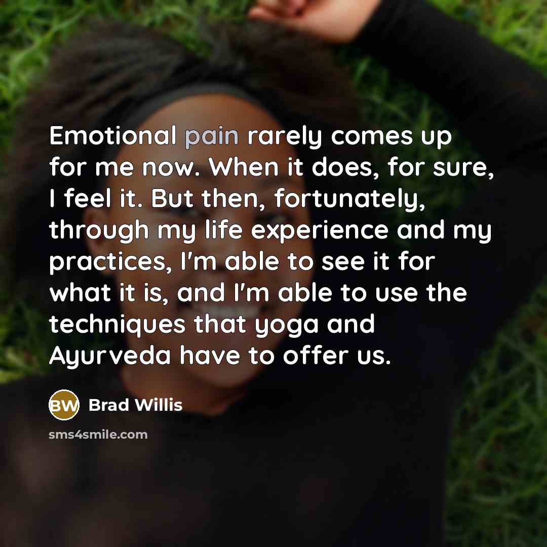 “Emotional pain rarely comes up for me now. When it…” quote by Brad Willis
