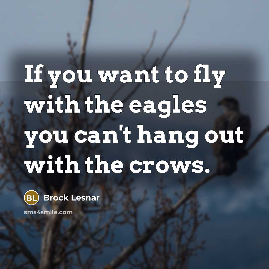 “If you want to fly with the eagles you can't hang out with the crows.” quote by Brock Lesnar