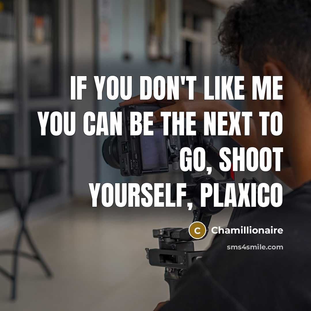 “If you don't like me you can be the next…” quote by Chamillionaire