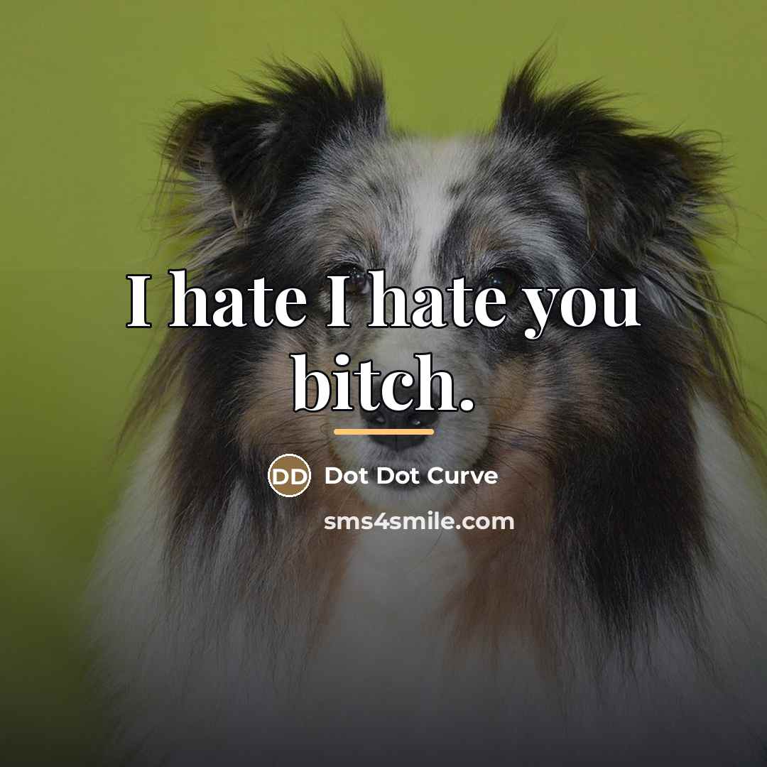 “I hate I hate you bitch.…” quote by Dot Dot Curve