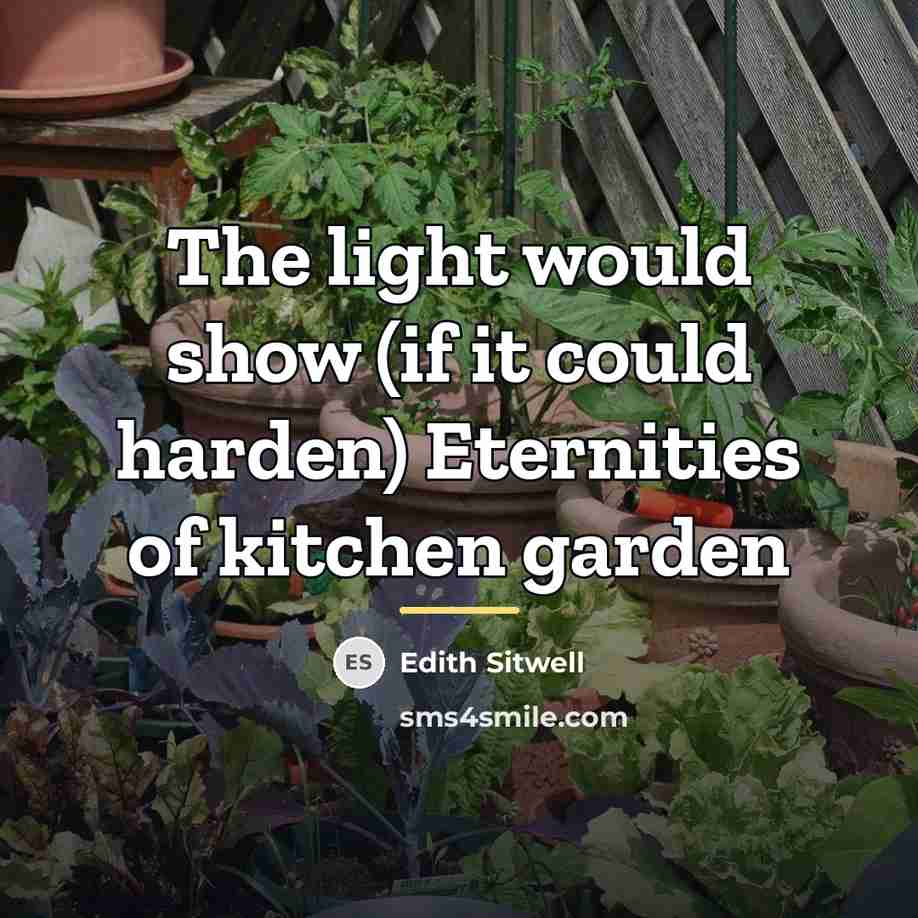 “The light would show (if it could harden) Eternities of…” quote by Edith Sitwell