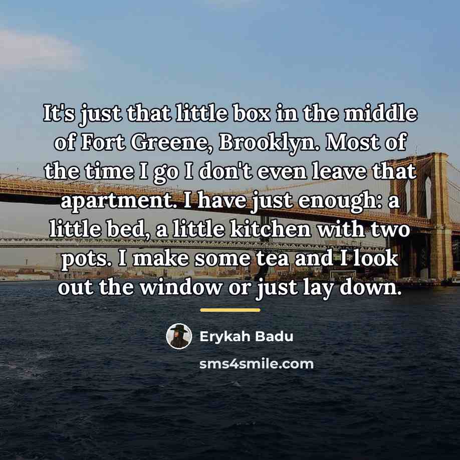 “It's just that little box in the middle of Fort…” quote by Erykah Badu