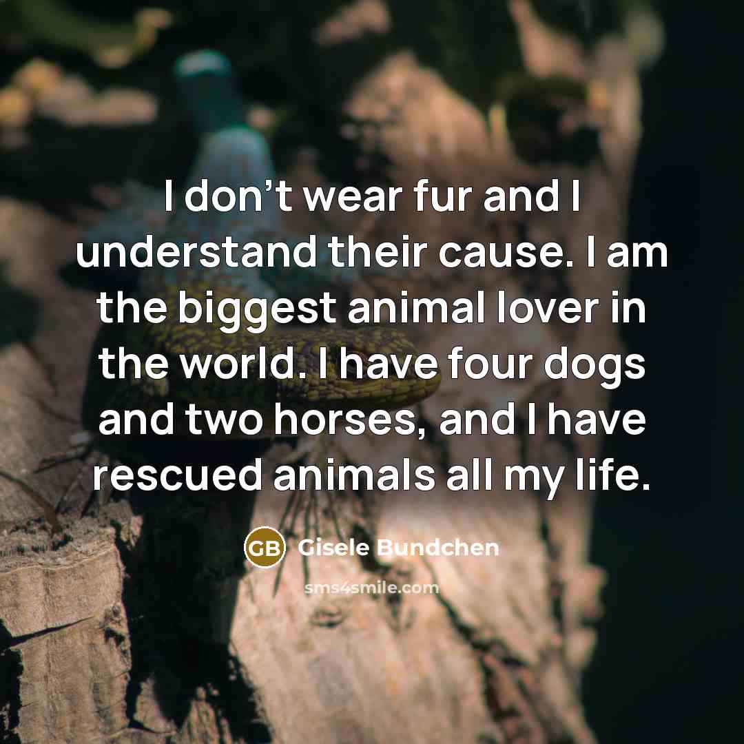 “I don't wear fur and I understand their cause. I…” quote by Gisele Bundchen