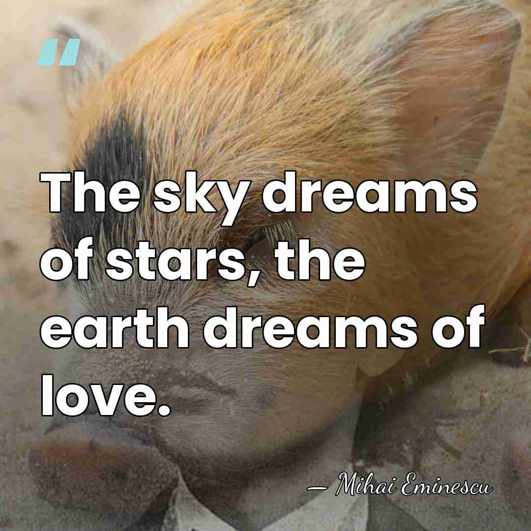 The sky dreams of stars, the earth dreams of love. - Mihai Eminescu