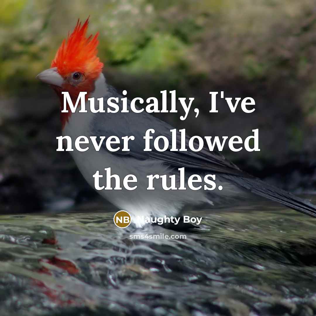 “Musically, I've never followed the rules.…” quote by Naughty Boy