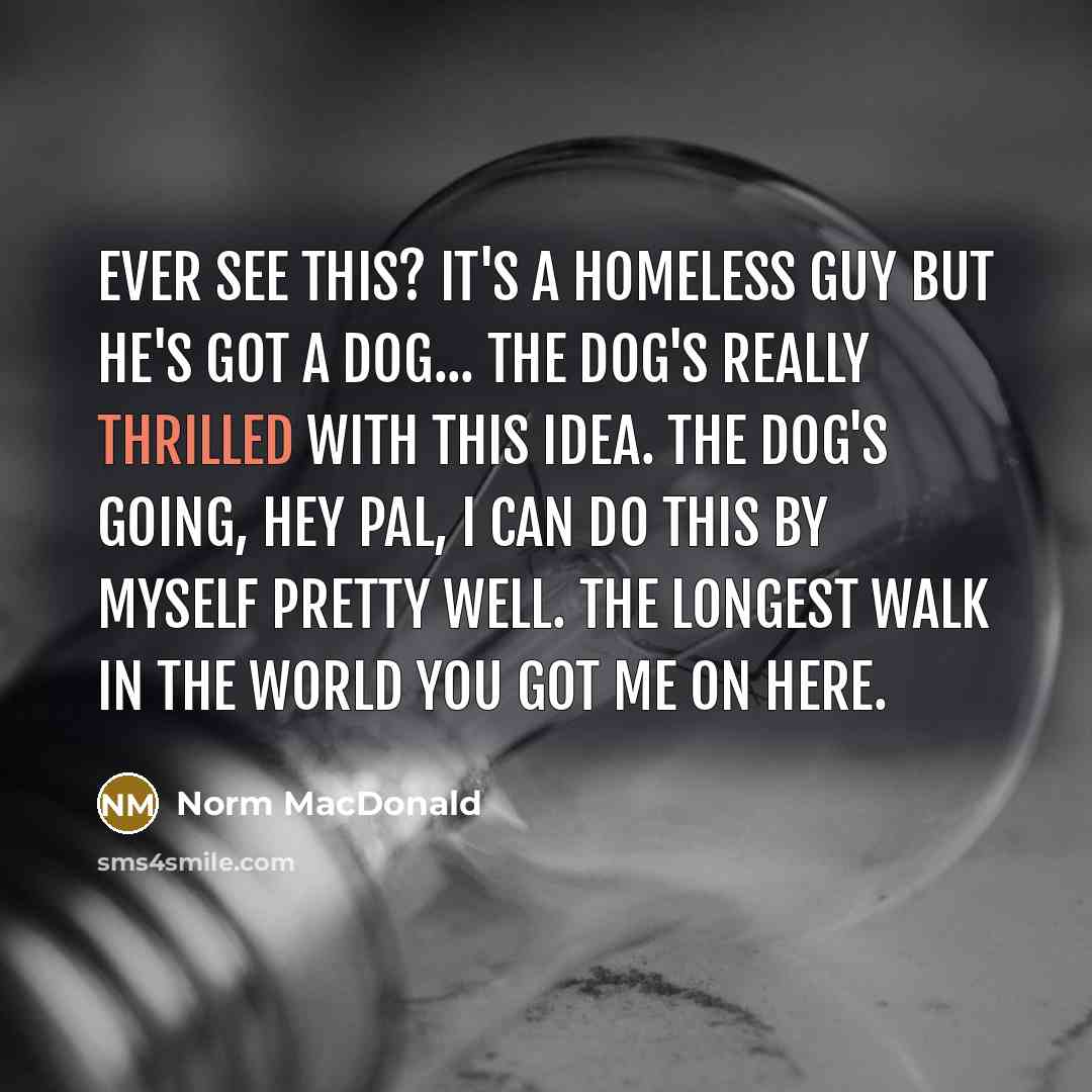 “Ever see this? It's a homeless guy but he's got…” quote by Norm MacDonald