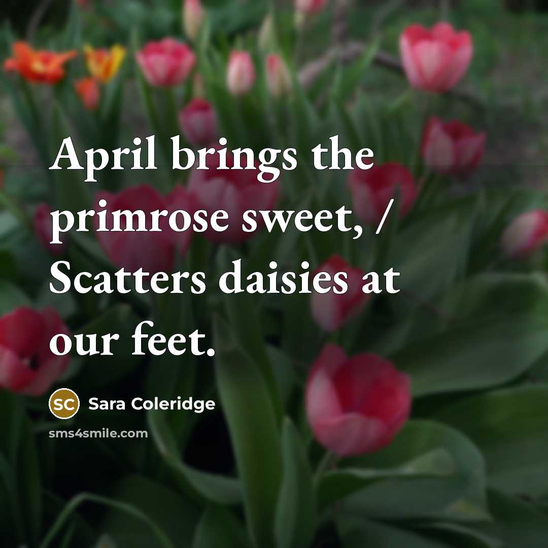 “April brings the primrose sweet, / Scatters daisies at our…” quote by Sara Coleridge
