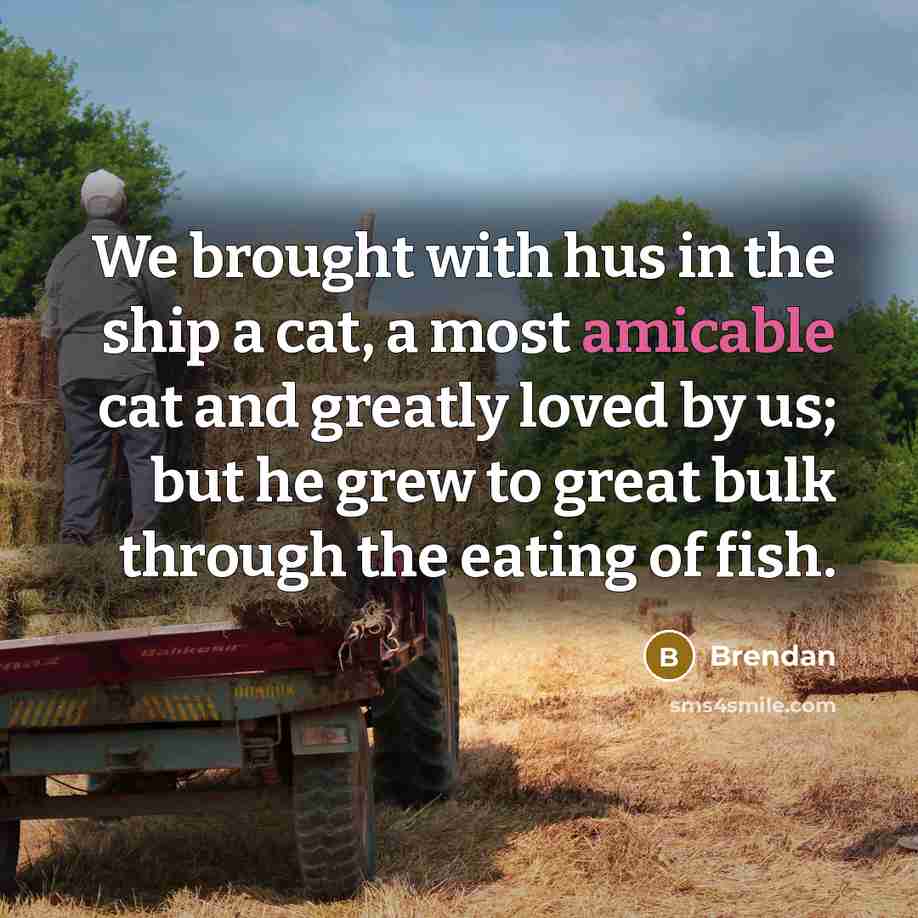 “We brought with hus in the ship a cat, a…” quote by Brendan