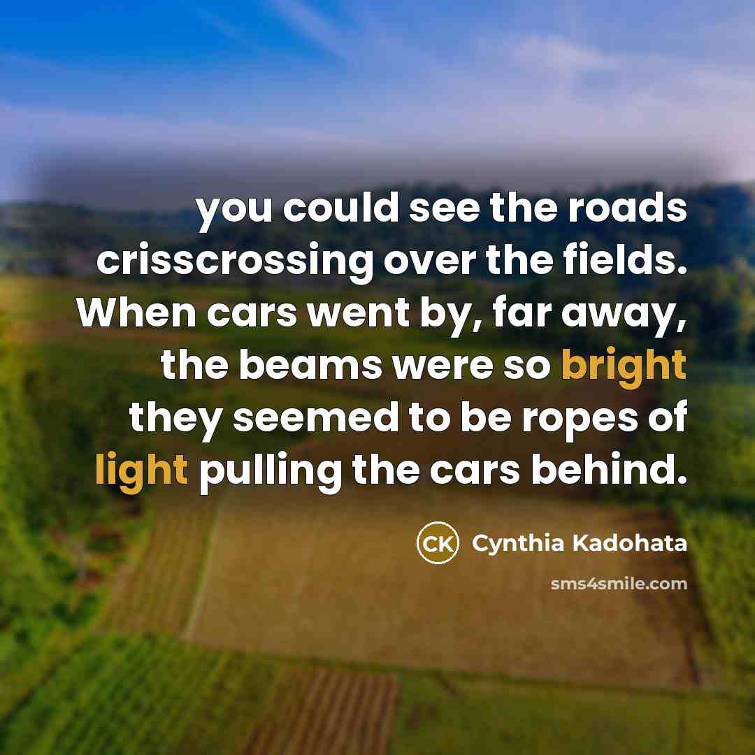 “you could see the roads crisscrossing over the fields. When…” quote by Cynthia Kadohata