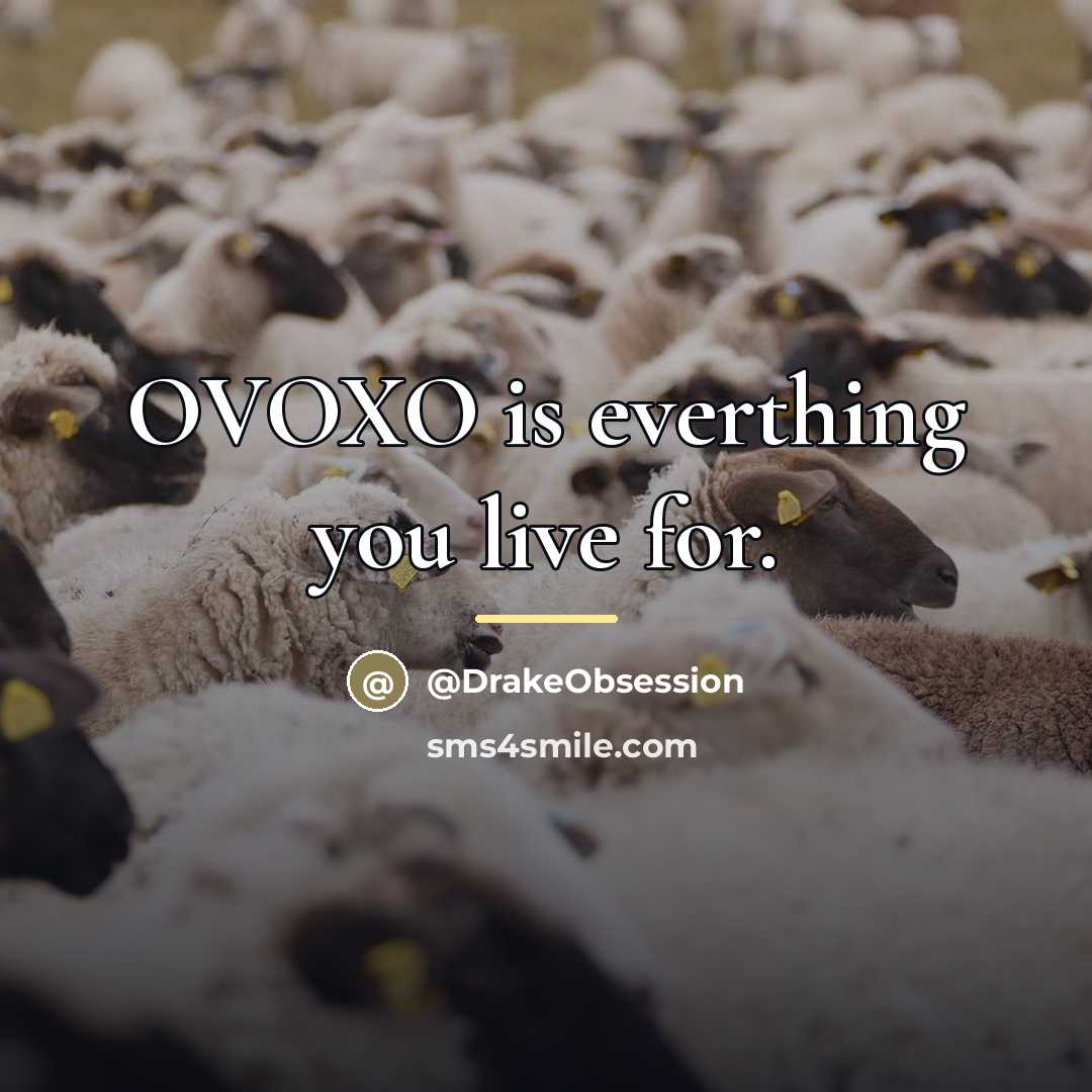 “OVOXO is everthing you live for.…” quote by DrakeObsession