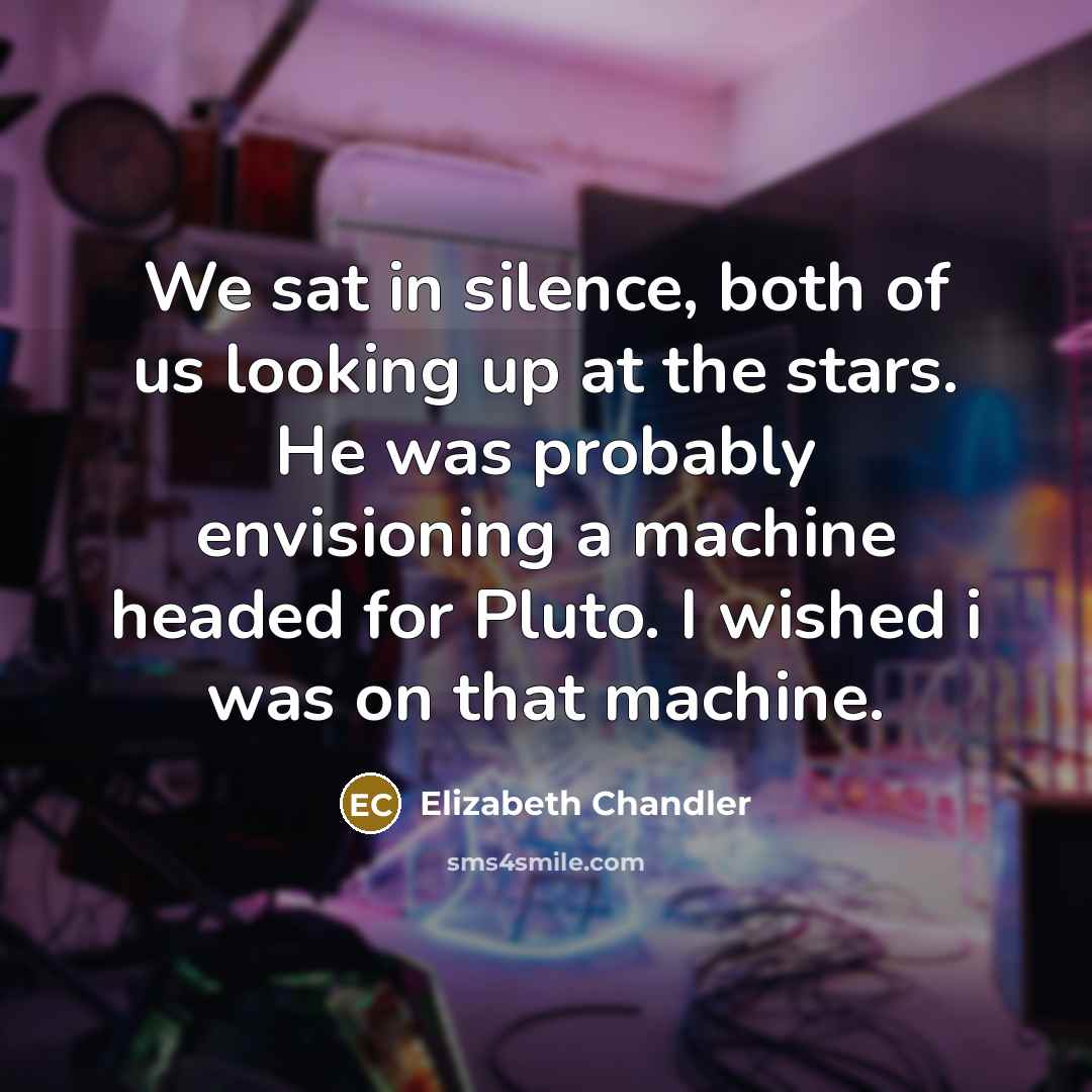 “We sat in silence, both of us looking up at…” quote by Elizabeth Chandler