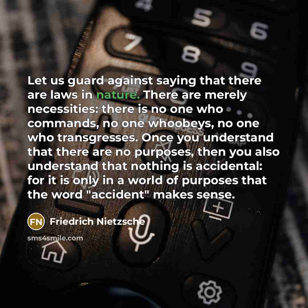 “Let us guard against saying that there are laws in…” quote by Friedrich Nietzsche