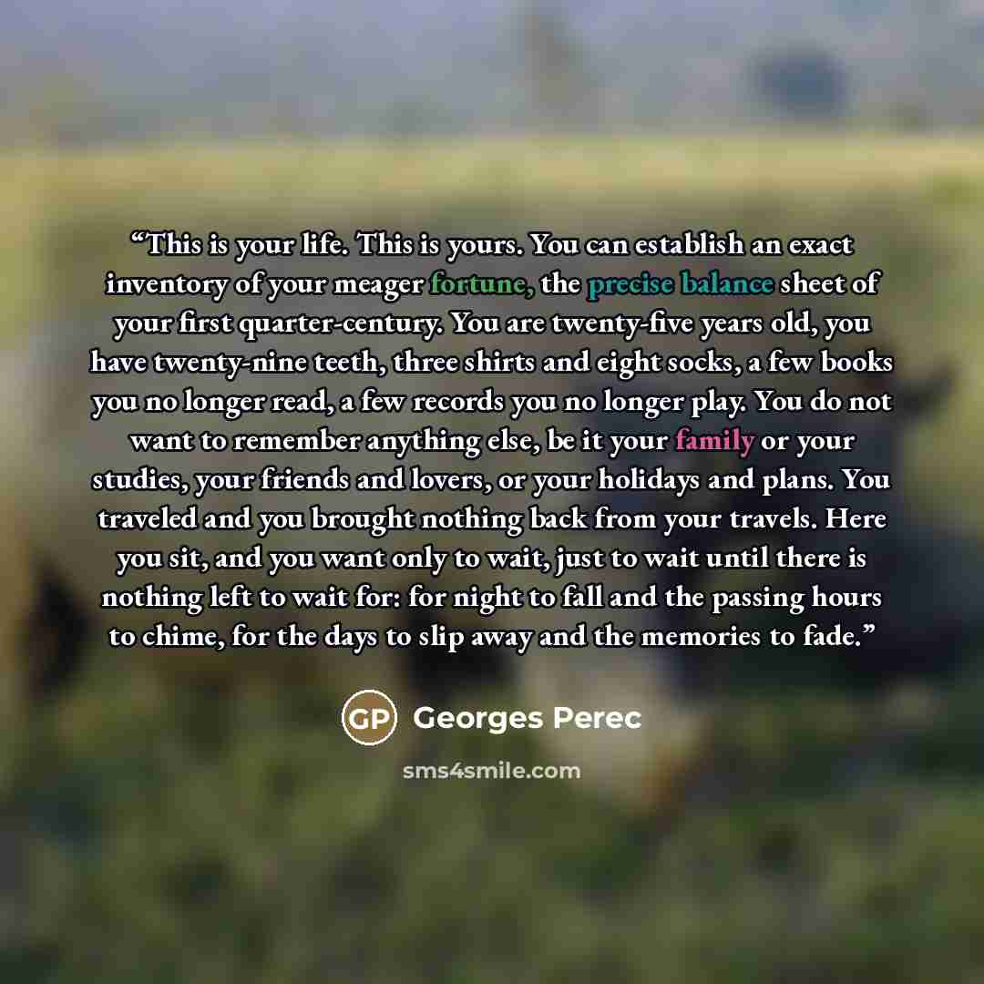 “This is your life. This is yours. You can establish an exact inventory of your meager fortune, the precise balance sheet of your first quarter-century. You are twenty-five years old, you have twenty-nine teeth, three shirts and eight socks, a few books you no longer read, a few records you no…” quote by Georges Perec