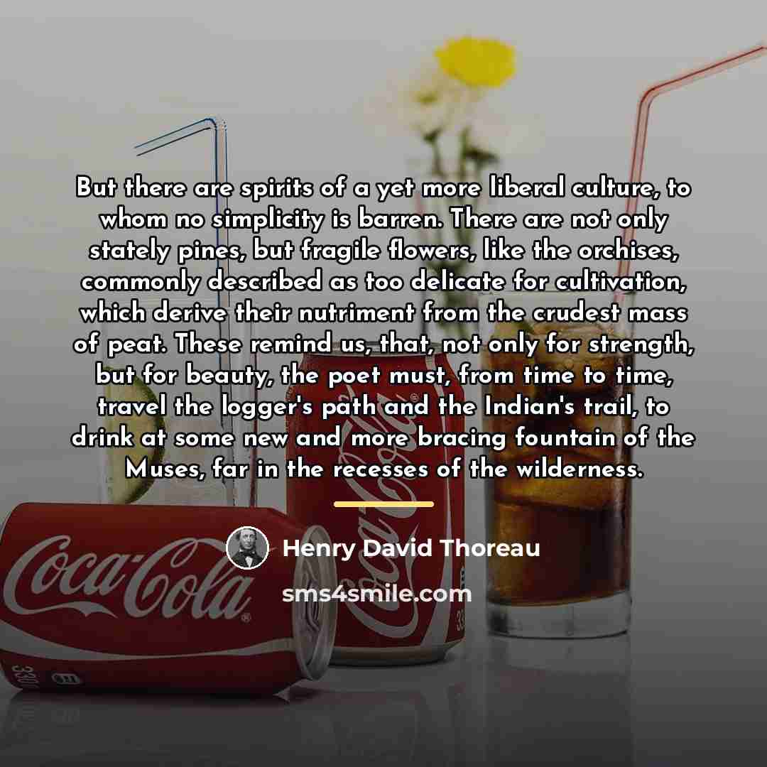 “But there are spirits of a yet more liberal culture,…” quote by Henry David Thoreau