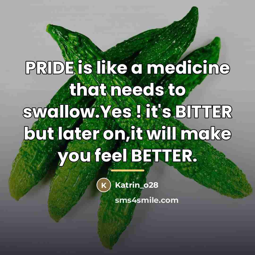 “PRIDE is like a medicine that needs to swallow.Yes !…” quote by Katrin_o28