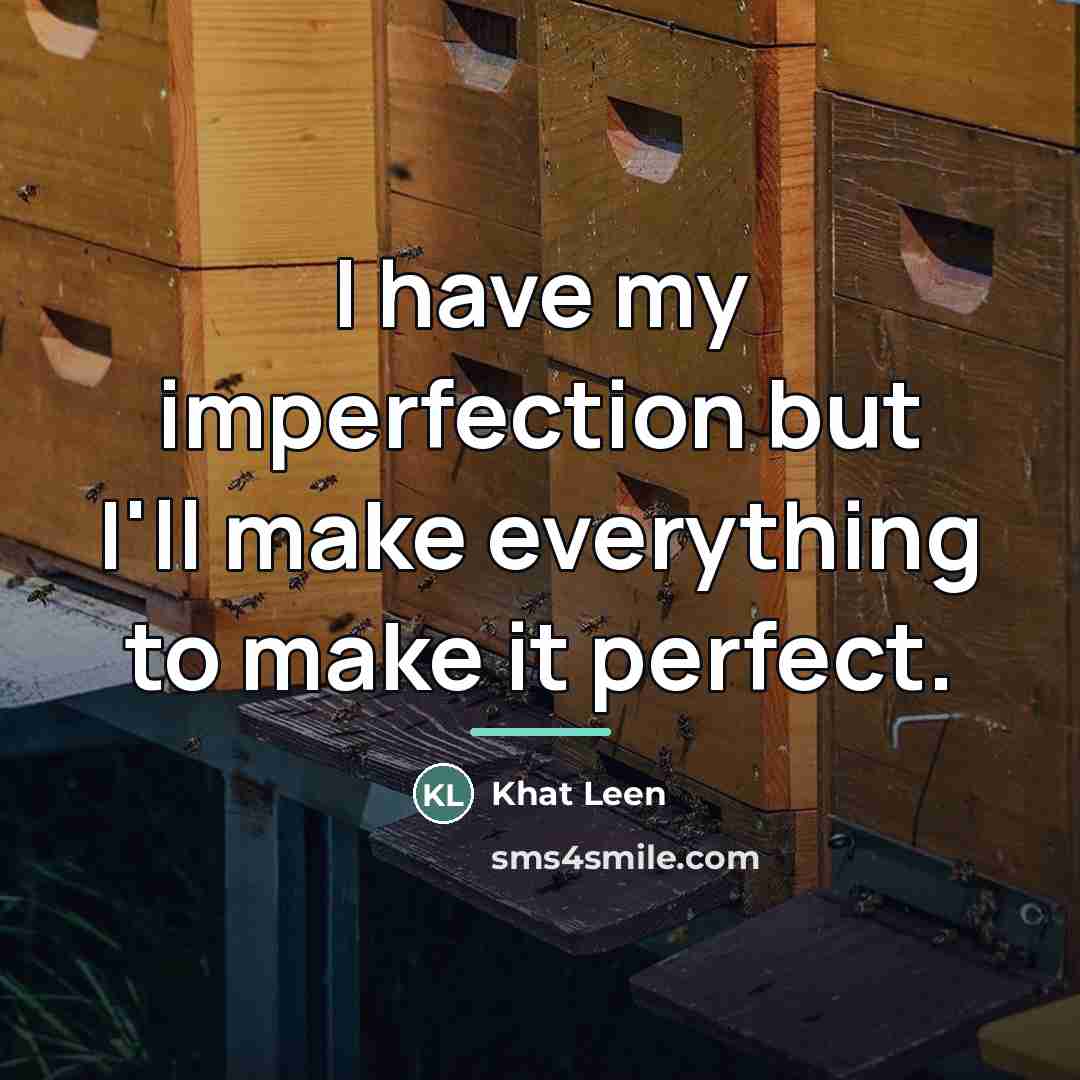 “I have my imperfection but I'll make everything to make…” quote by Khat Leen