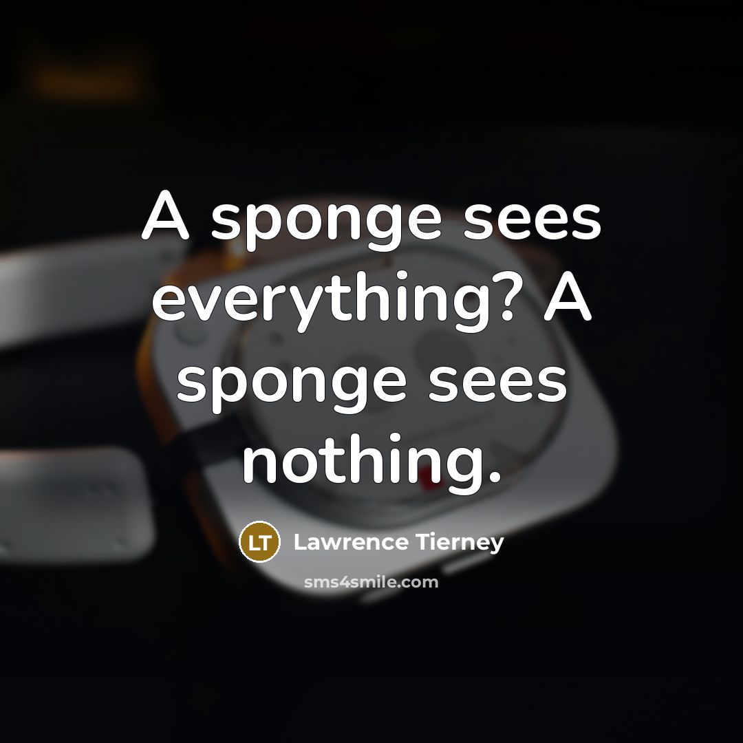 “A sponge sees everything? A sponge sees nothing.…” quote by Lawrence Tierney