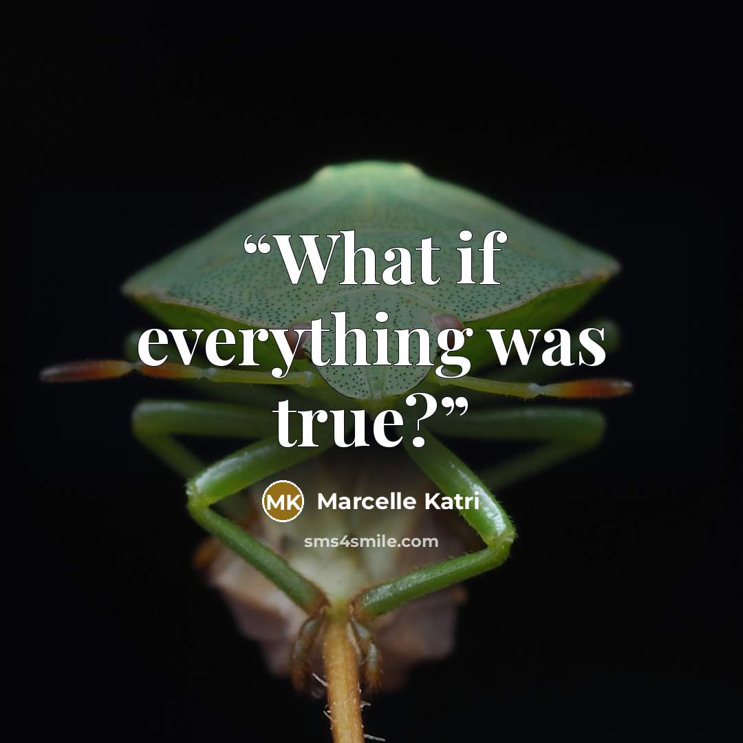 “What if everything was true?” quote by Marcelle Katri