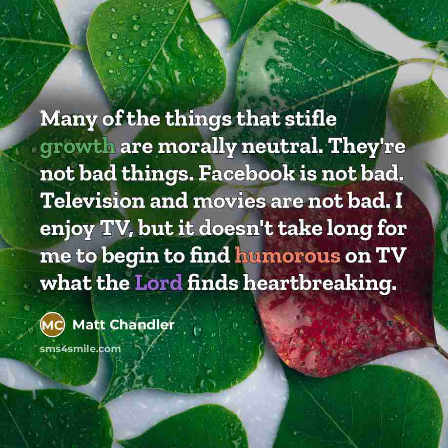 “Many of the things that stifle growth are morally neutral.…” quote by Matt Chandler
