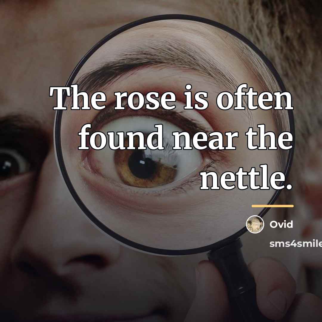 “The rose is often found near the nettle.…” quote by Ovid