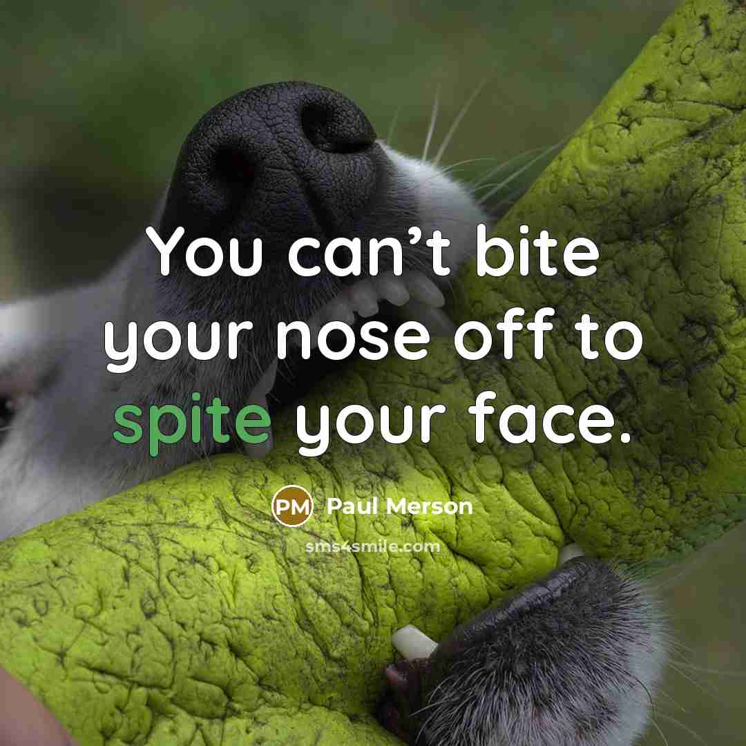 “You can’t bite your nose off to spite your face.…” quote by Paul Merson