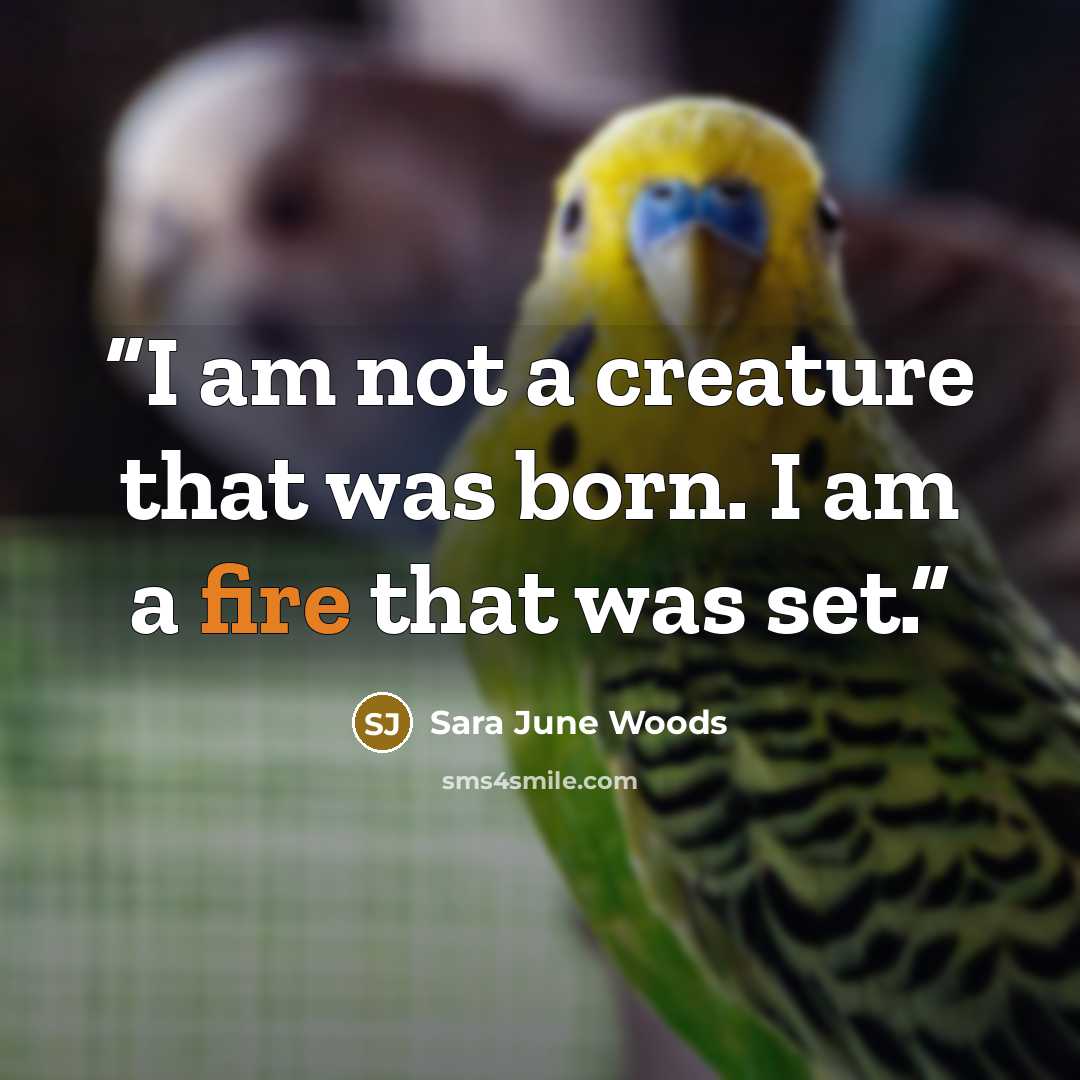 “I am not a creature that was born. I am a fire that was set.” quote by Sara June Woods