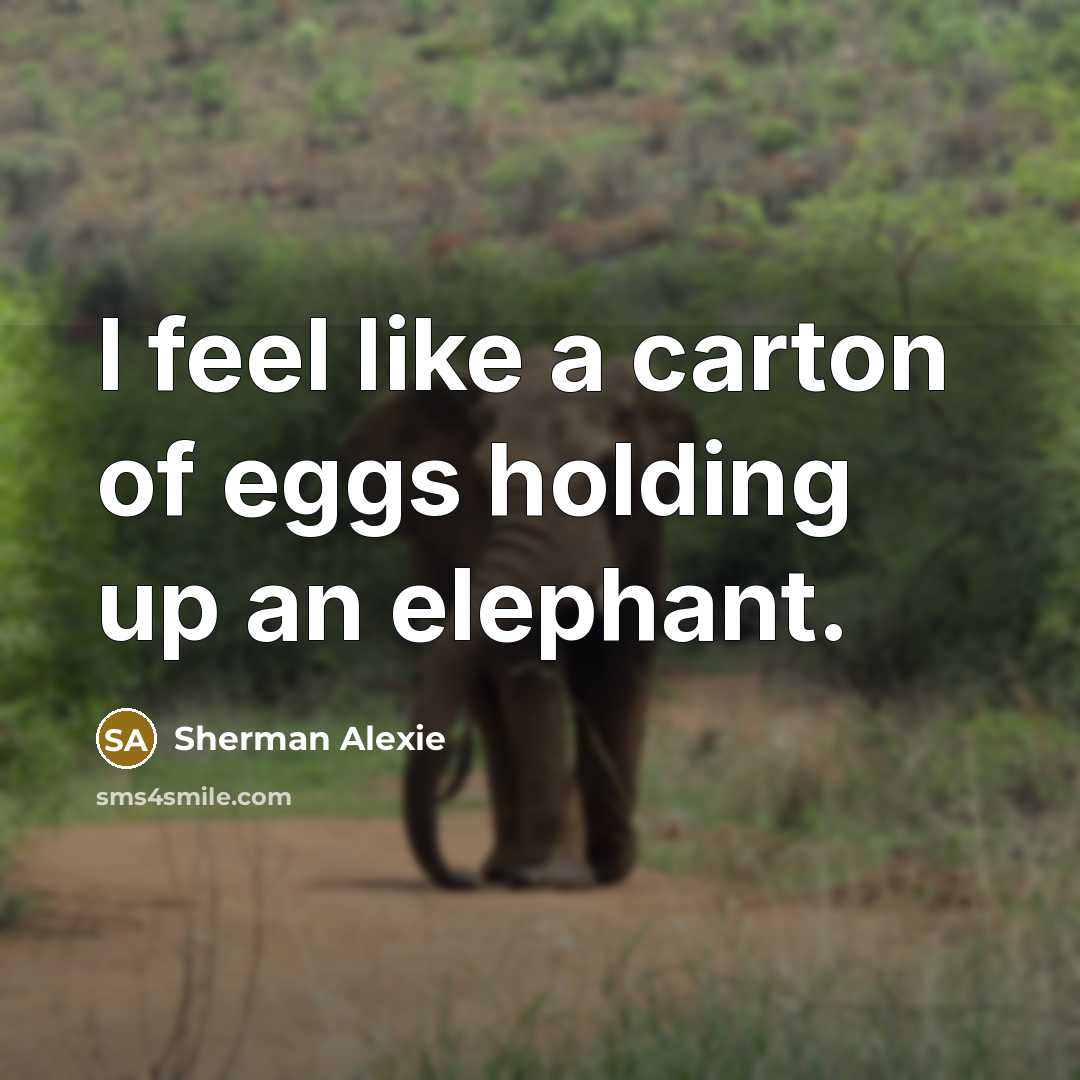 “I feel like a carton of eggs holding up an…” quote by Sherman Alexie