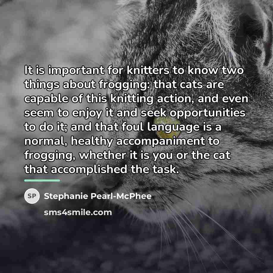 “It is important for knitters to know two things about…” quote by Stephanie Pearl-McPhee