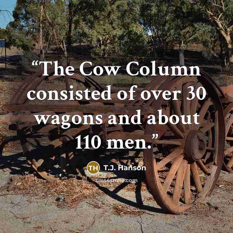 “The Cow Column consisted of over 30 wagons and about 110 men.” quote by T.J. Hanson