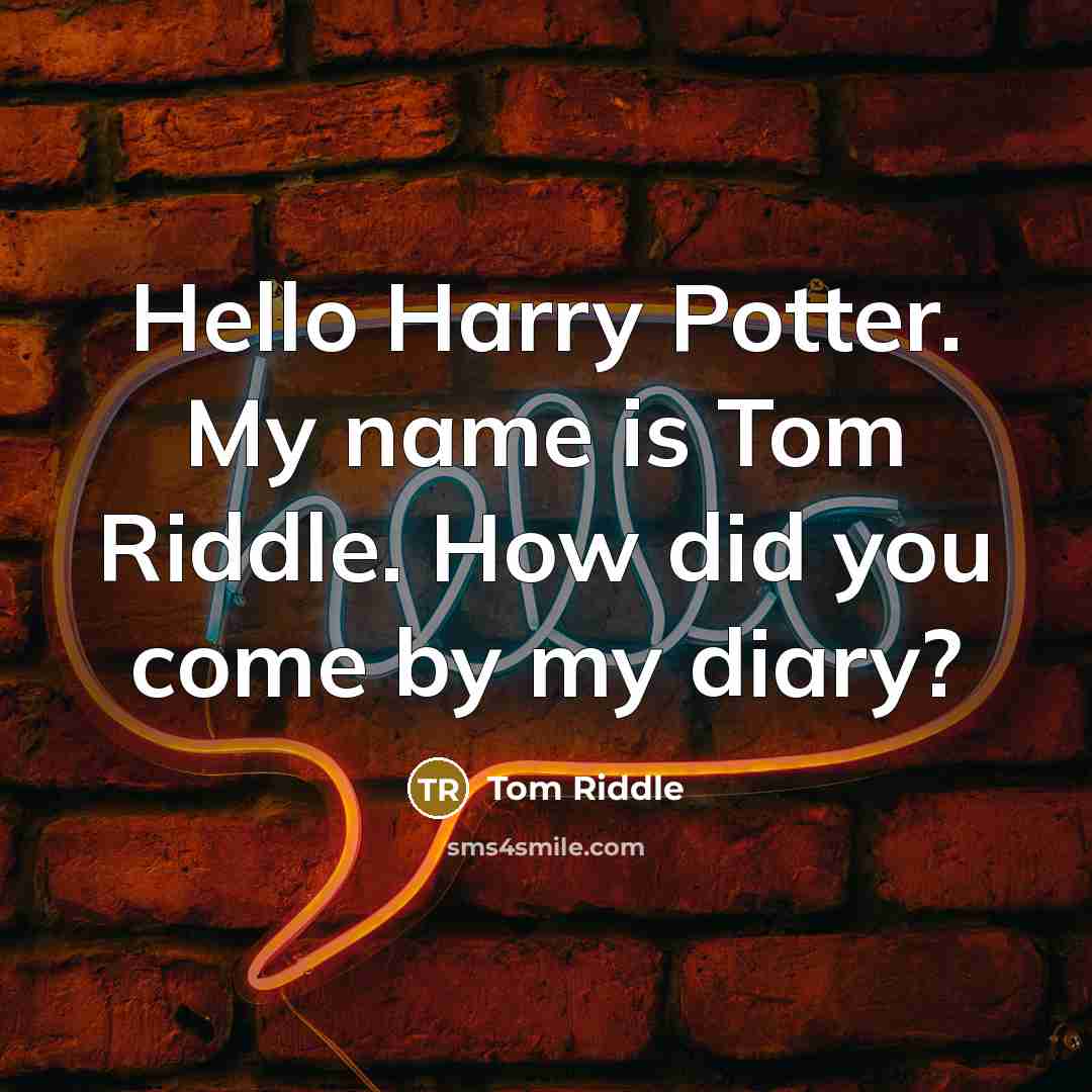 “Hello Harry Potter. My name is Tom Riddle. How did you come by my diary?” quote by Tom Riddle