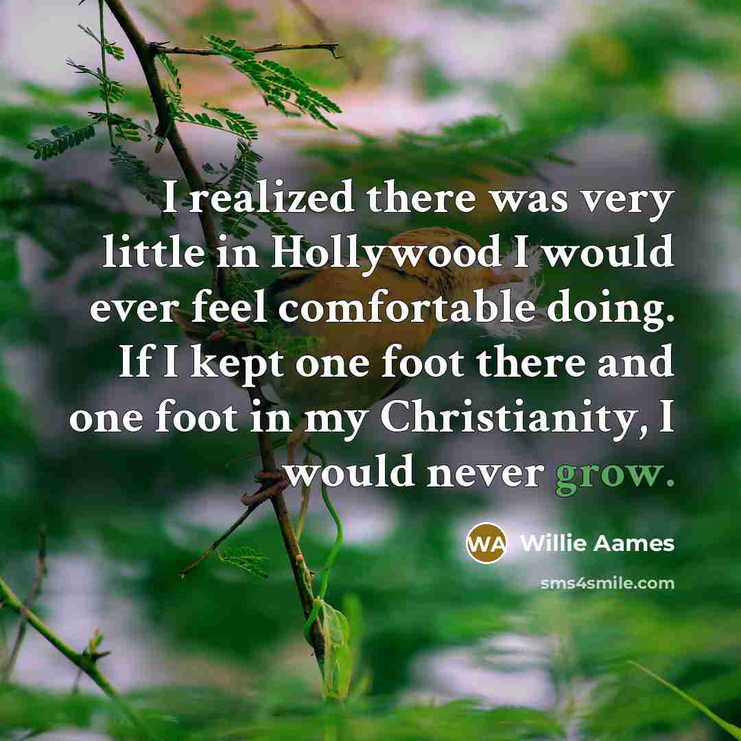 “I realized there was very little in Hollywood I would…” quote by Willie Aames