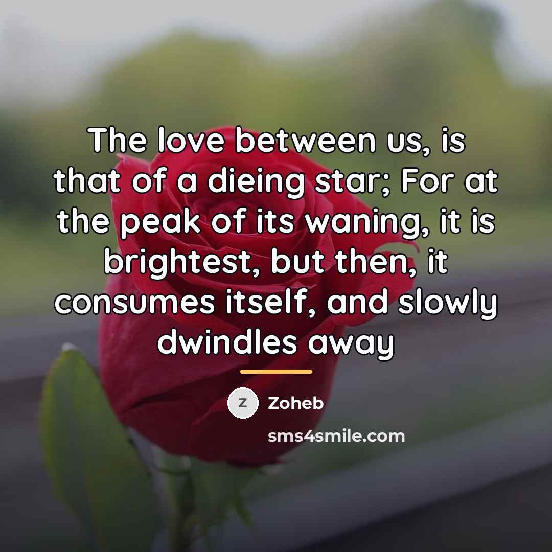 “The love between us, is that of a dieing star;…” quote by Zoheb