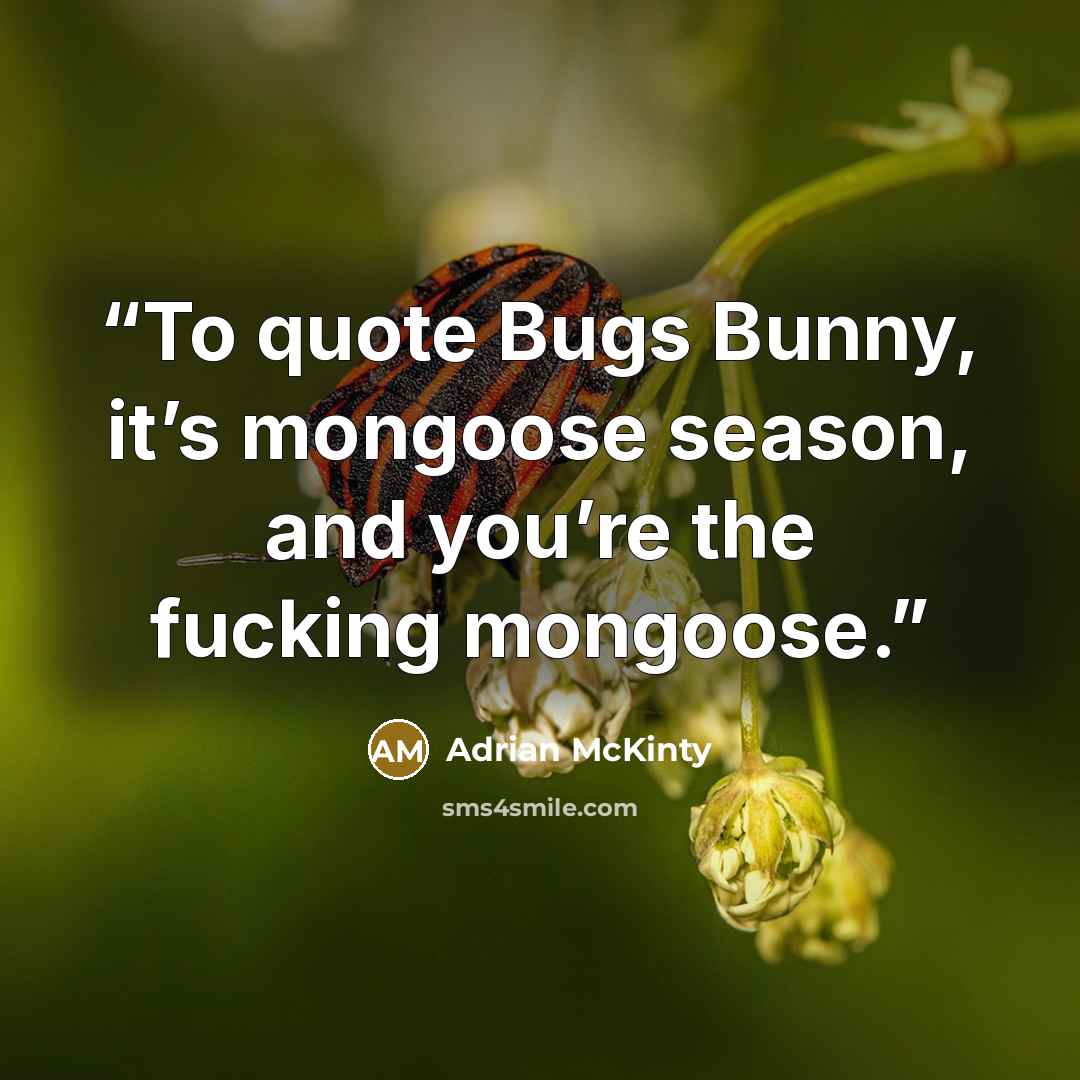 “To quote Bugs Bunny, it’s mongoose season, and you’re the fucking mongoose.” quote by Adrian McKinty