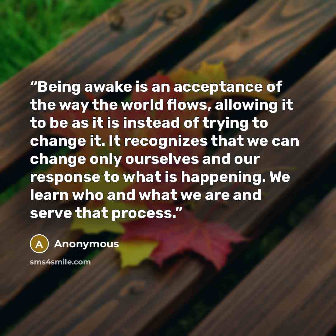 “Being awake is an acceptance of the way the world flows, allowing it to be as it is instead of trying to change it. It recognizes that we can change only ourselves and our response to what is happening. We learn who and what we are and serve that process.” quote by Anonymous