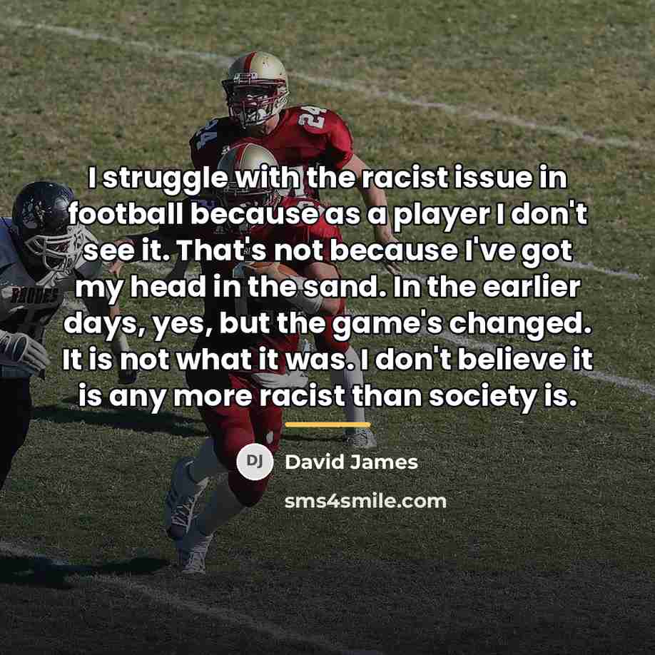 “I struggle with the racist issue in football because as…” quote by David James