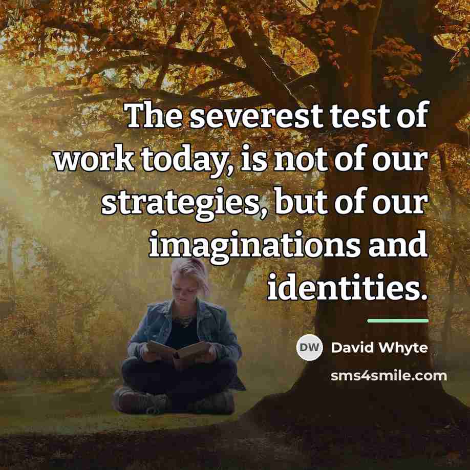 “The severest test of work today, is not of our…” quote by David Whyte