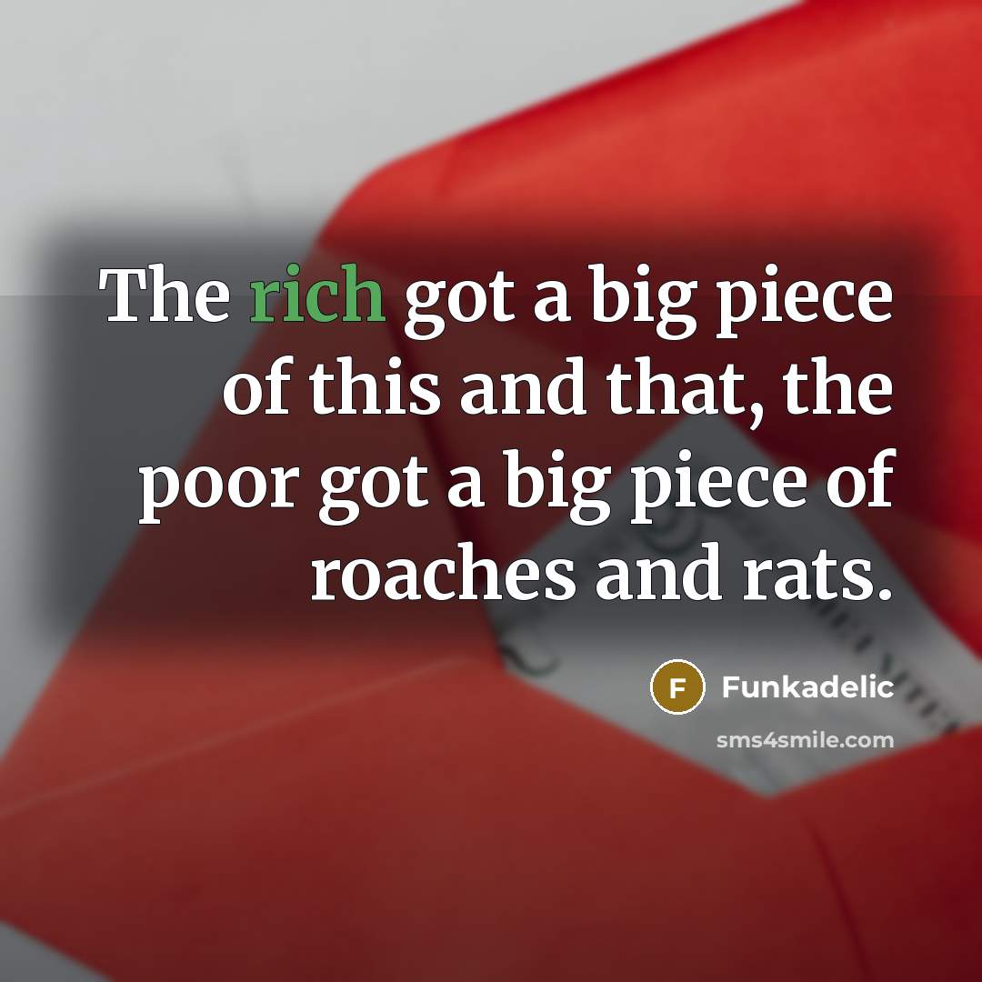 “The rich got a big piece of this and that,…” quote by Funkadelic
