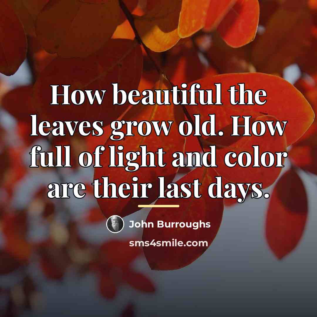 “How beautiful the leaves grow old. How full of light…” quote by John Burroughs