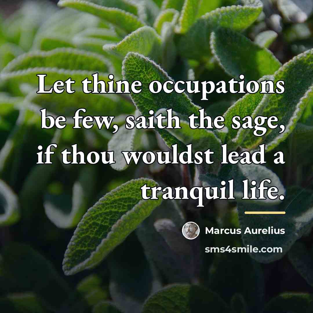 “Let thine occupations be few, saith the sage, if thou…” quote by Marcus Aurelius
