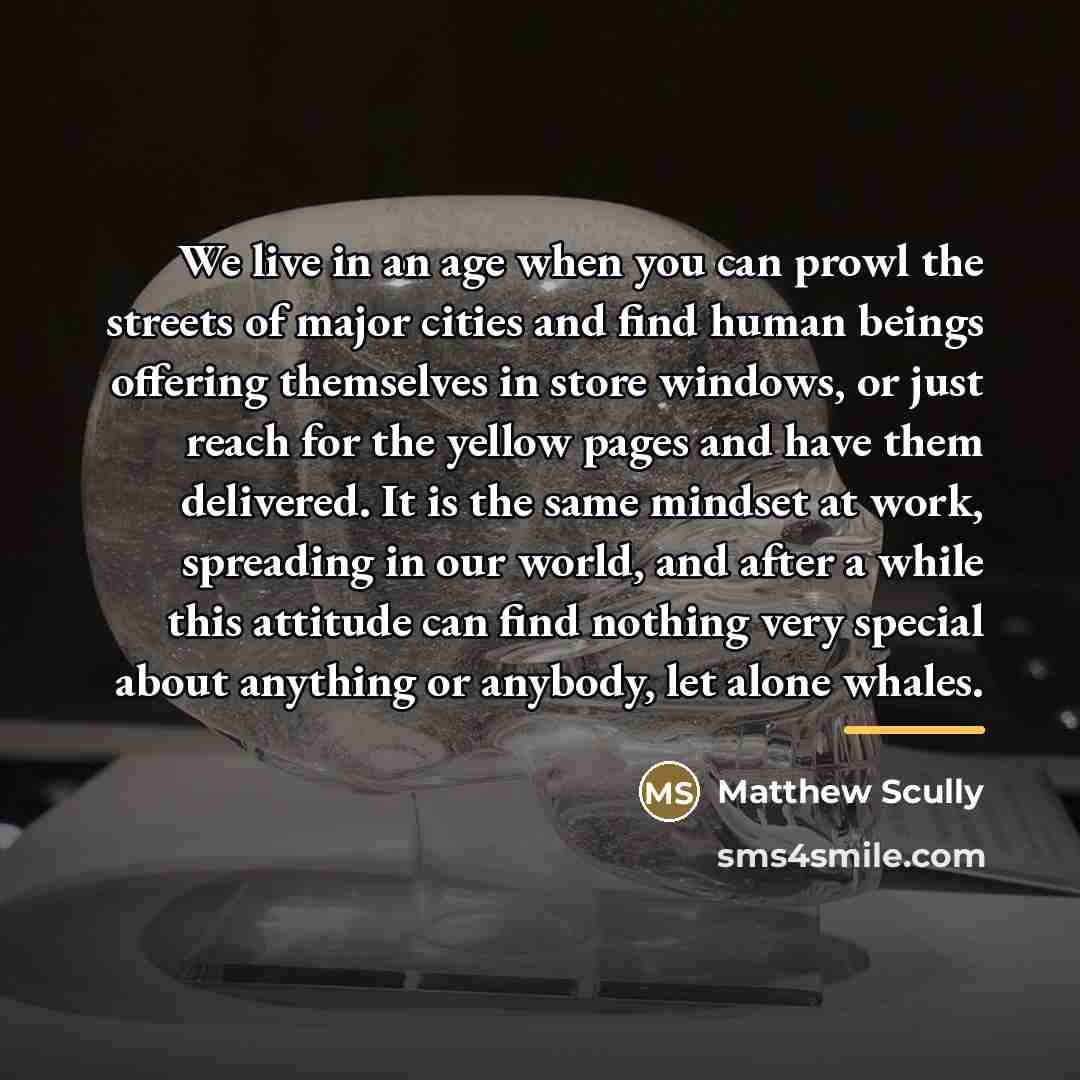 “We live in an age when you can prowl the…” quote by Matthew Scully