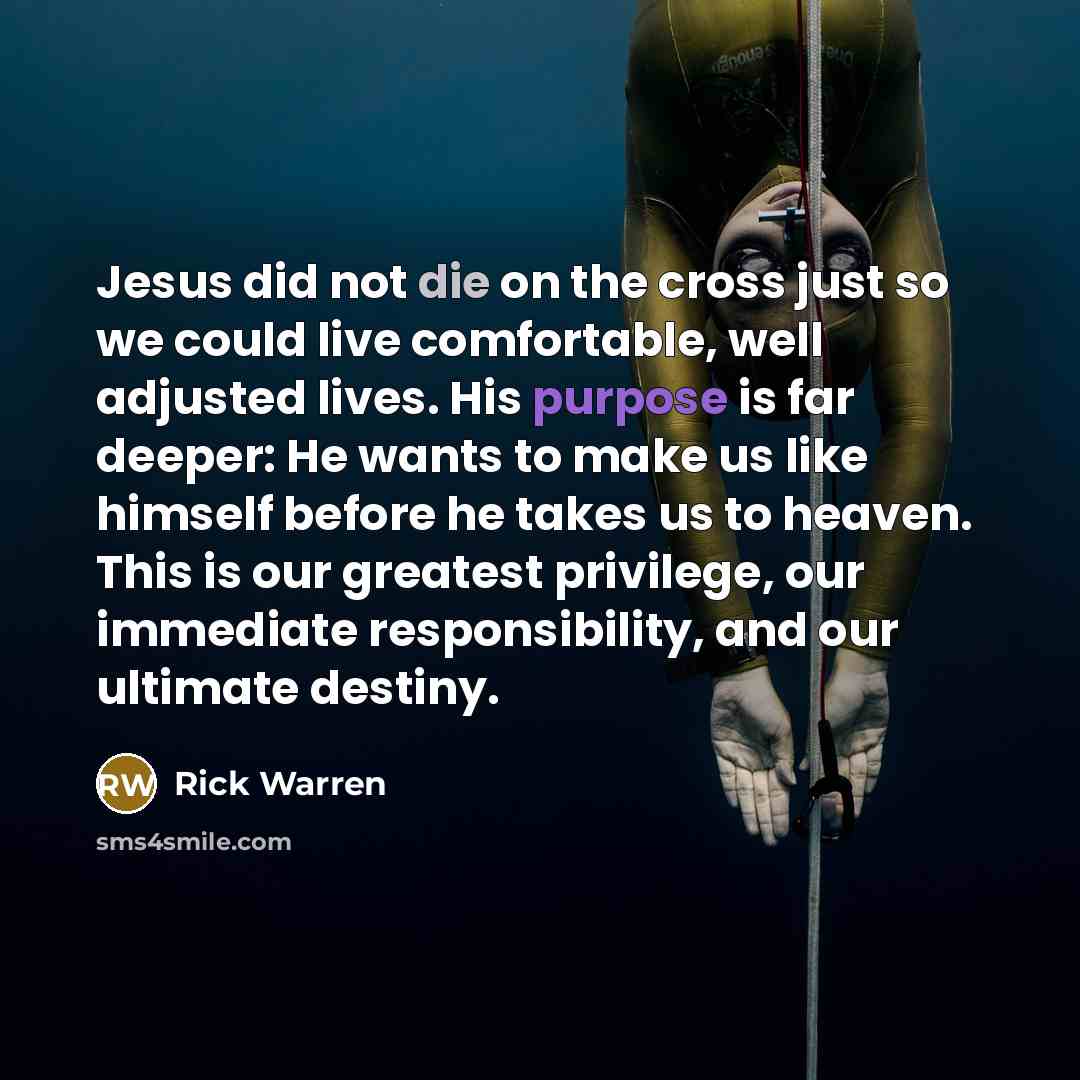 “Jesus did not die on the cross just so we…” quote by Rick Warren