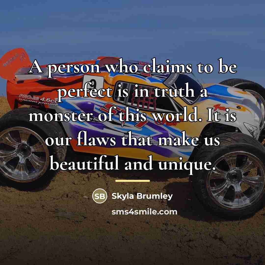 “A person who claims to be perfect is in truth…” quote by Skyla Brumley