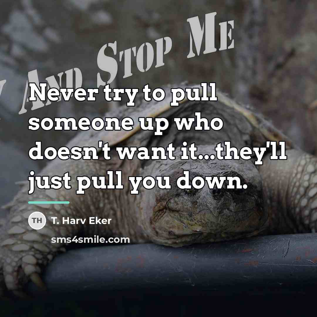 “Never try to pull someone up who doesn't want it...they'll…” quote by T. Harv Eker